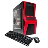iBUYPOWER Gamer Power A557D3 FPS Gaming Desktop
