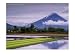 Mount Mayon Active Volcano Rising Above Rice Fields., Mt. Mayon, Albay, Philippines, Bicol, Volcanoes Photographic Poster Print by John Pennock, 32x24