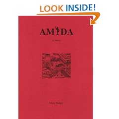 Amida: A Novel