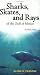 Sharks, Skates, and Rays of the Gulf of Mexico: A Field Guide by Glenn R. Parsons