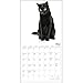 2016 Black Cats on White Calendar