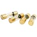 DB Link AGU40 40 Amp Gold AGU Fuses