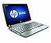 HP Mini 210-2130NR Netbook - Plaid