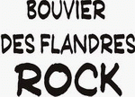 Bouvier Des Flandres Rock 11 oz. White Mug