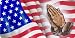 Airbrushed License Plate - American Flag Licence Plate - #566