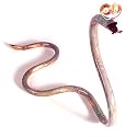 Whimsical "Copperhead" Garden Snake Sculpture