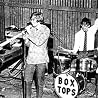 Image of The Box Tops