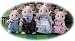 Sylvanian Families Mouse Family