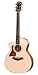 Taylor Guitars 114ce, Grand Auditorium, Solid Sitka Spruce Top, Sapele Back/Sides, Cutaway, ES-T, Left