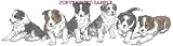 Border Collie - Puppies in a Row by Cindy Farmer