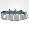 Complete Family Pool Package