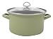 Kitchen & Housewares : Chantal Enamel-On-Steel 6 Quart Dutch Oven with Tempered Glass Lid, Glossy Garden Green