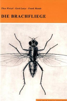 Die Brachfliege
