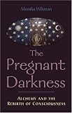 Pregnant Darkness: Alchemy and the Rebirth of Consciousness