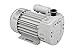 EVE-TR-4-AC Dry running Rotary Vane Vacuum Pump