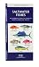 Saltwater Fishes: An Introduction to Familiar North American Species (North American Nature Guides)