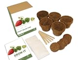 Grow it - Fruit Selection