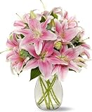 Stargazer Lilies without Vase