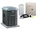 Briggs & Stratton 40224 7,000 Watt Manual Home Standby System with Manual Transfer Switch
