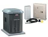 Briggs & Stratton 40224 7,000 Watt Manual Home Standby System with Manual Transfer Switch