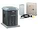 Briggs & Stratton 40224 7,000 Watt Manual Home Standby System with Manual Transfer Switch