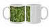 Photo Mugs of Wood Fescue from Ardea Wildlife Pets