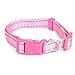 Weebo Pets Adjustable Nylon Dog Collar with Hi-Visibility Reflective Thread (Pink, Small)