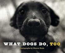 What Dogs Do, Too