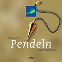 Pendeln. Praxisbuch und Pendel im Set