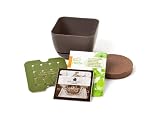Fertile Earth Simple Garden Junior SGjr-1pc-Moc, 4-Inch Single Basil Herb Garden Kit, Mocha