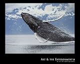 Northern Humpback Whale Animals Art Poster Print by Brandon Cole, 28x22
