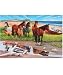 Sable Island Puzzle: 2000 Pcs