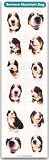 THE DOG Artlist - Mini Bernese Mountain Dog Stickers