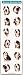 THE DOG Artlist - Mini Bernese Mountain Dog Stickers