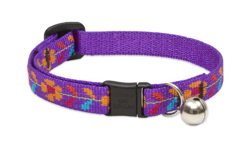 Spring Fling Cat Collar with Bell, 1/2-Inch 