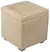 Kitchen & Housewares : Global Distinctions B5 Micro Suede Storage Ottoman, Buff