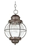 Hatteras Outdoor Hanging Lantern, 16 � Hx10 � D, GILDED COPPER -...