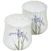 Corelle Coordinates Shadow Iris Salt and Pepper Shaker Set