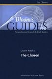 Chaim Potok's The Chosen