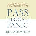 Pass Through Panic: Freeing Yourself from Anxiety and Fear