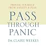 Pass Through Panic: Freeing Yourself from Anxiety and Fear