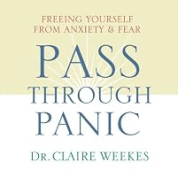 Pass Through Panic: Freeing Yourself from Anxiety and Fear