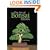 The Art of Bonsai Design