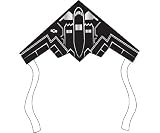 Discovery Stunt Kite
