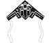 Discovery Stunt Kite