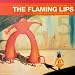 Yoshimi Battles The Pink Robots