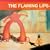 Yoshimi Battles The Pink Robots