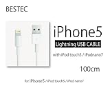 BESTEC iPhone5用 ライトニング Lightning ケーブル 【安心の全品検査済み】USBケーブル iPad mini / iPod touch 第5世代 / iPod nano 第7世代対応