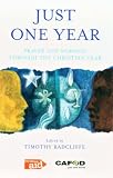 Cover of Just One Year by Timothy Radcliffe 0232526699