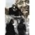 ���̗��ɂ̂���/�t�@���E�F�C�E�\�[�E�N���[�X!<�f���b�N�X��> [DVD]